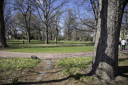 View of the main quad area at UNC Chapel Hill, North Carolina thumbnail