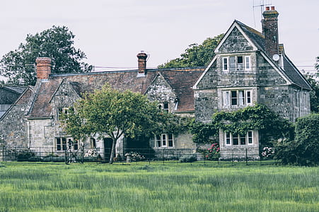 landscape, garden, trees, countryside thumbnail