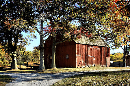 brown wooden shed thumbnail