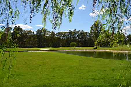 grass field near body of water thumbnail