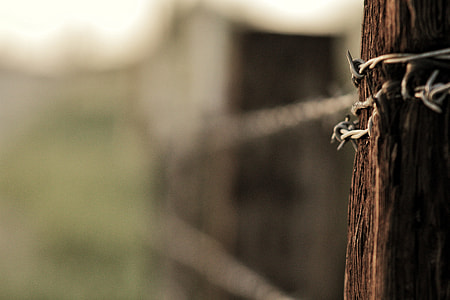 selective photo of barb wire wrap on the post thumbnail