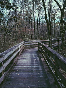 bridge surrounded with trees thumbnail