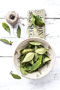 green leaves on white wicker bowl thumbnail