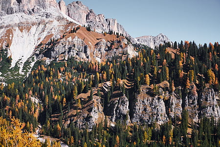 aerial photography of mountains and trees during daytime thumbnail