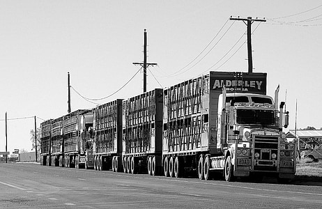 gray scale photography of semi-truck on road thumbnail