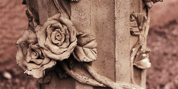 macro photography of gray rose emboss thumbnail