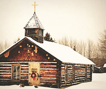 brown cathedral near bare trees thumbnail