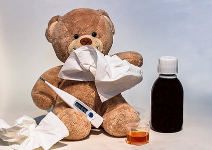 brown bear with white digital thermometer on lap thumbnail