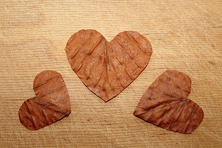 heart-shaped brown leaves thumbnail