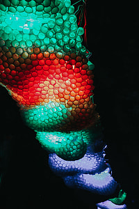Light and lamps at an exhibition thumbnail