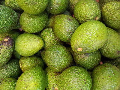 green avocado lot thumbnail