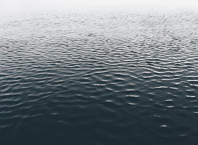 calm body of water during daytime thumbnail