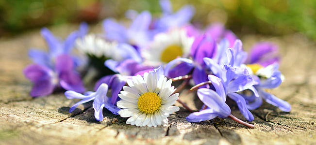 assorted flowers on top of wood slab selective-focus photo thumbnail