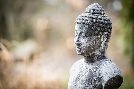 selective focus photo of Gautama Buddha statue thumbnail