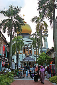 photo of people near Sultan Mosque during daytime thumbnail