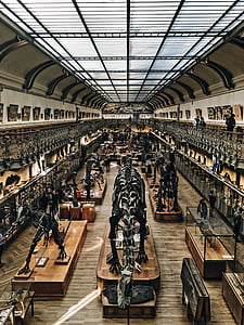 museum interior thumbnail