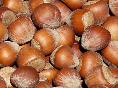 pile of brown chestnuts thumbnail