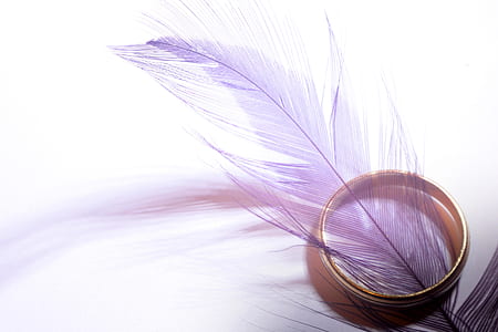 wedding, ring, feather, decor thumbnail