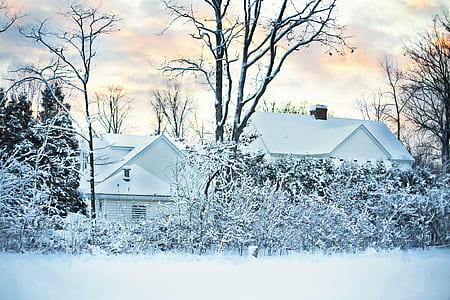 two houses covered by snow during daytime thumbnail
