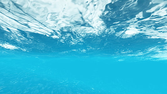 underwater photograph thumbnail