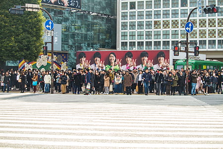 people standing on pedestrian lane thumbnail