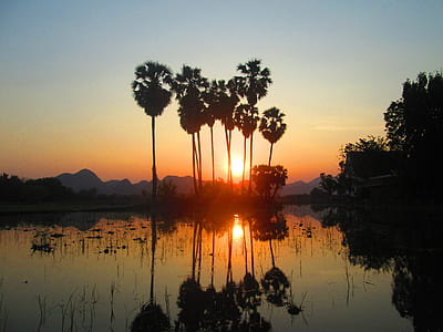 photograph of body of water and trees during golden hour thumbnail