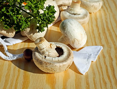 white mushrooms on brown wooden surface thumbnail