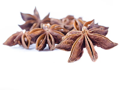 brown leafed plants on white surface thumbnail
