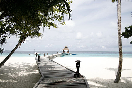 grey wooden dock with canopy on sea during daytime thumbnail