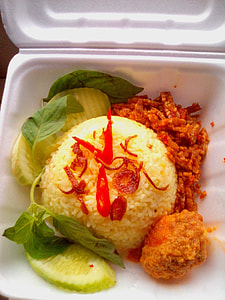 Boxed Lunch with rice and vegetables thumbnail