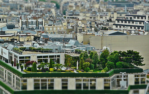 photo of building with trees at roof thumbnail