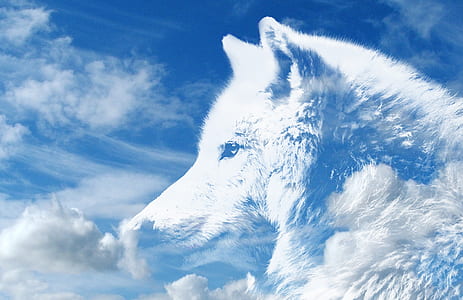 white wolf clouds thumbnail
