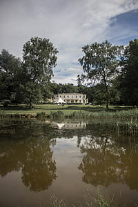 white house surrounded by trees near river thumbnail