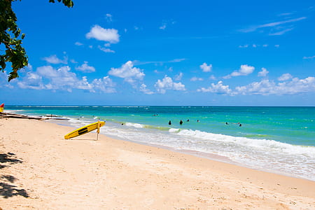 sea, landscape, sunny, man thumbnail