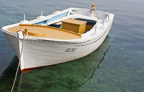 white and brown wooden rowboat on body of water thumbnail