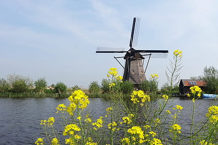 windmill near calm body of water thumbnail