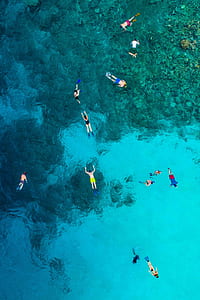 person swimming on body of water thumbnail