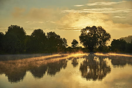 calm waters surrounded by green leafed trees thumbnail