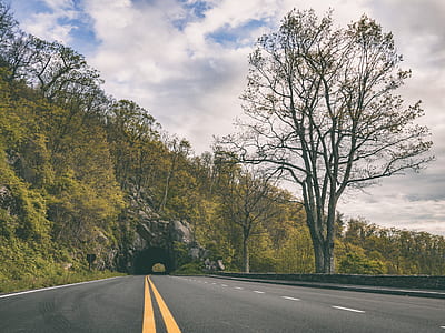 gray concrete road near green trees at daytime thumbnail