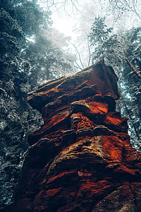 brown rock formation in forest thumbnail