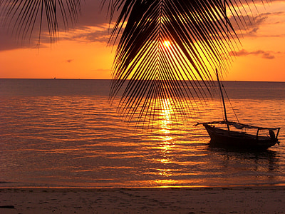 silhouette of coconut leaves and boat on shore during sunset thumbnail