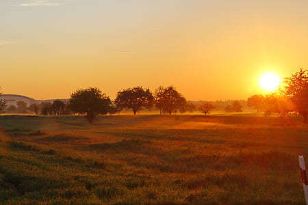farm during sunset thumbnail