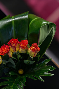 Close-up of little red and yellow roses thumbnail