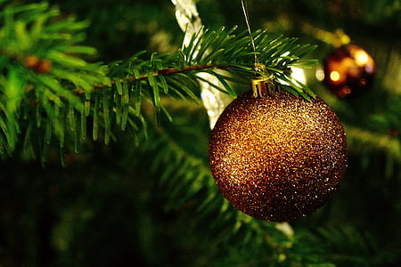 tilt-shift lens photography of brown bauble thumbnail