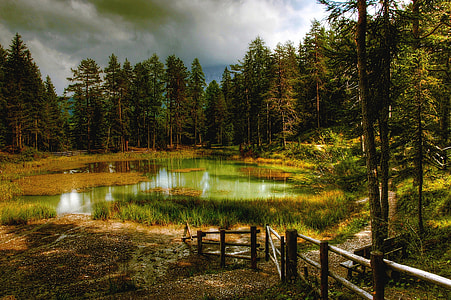 landscape photo of lake surrounded by trees thumbnail