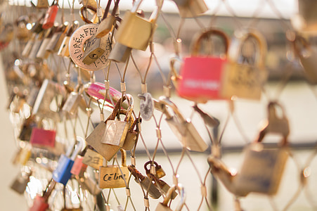 selective focus photography of padlocks on chain link fence thumbnail