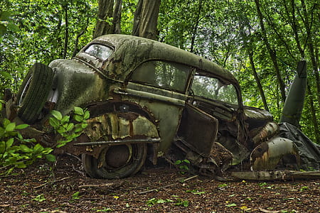 classic green vehicle on soil near forest thumbnail