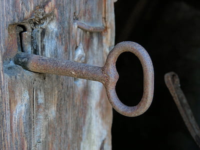 shallow photograph of brown skeleton key thumbnail