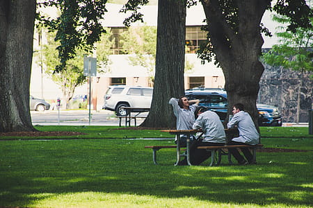 Photo Of Men Sitting On Picnic Bench thumbnail