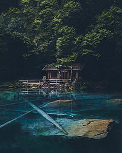 brown wooden house near tree and body of water during daytime thumbnail